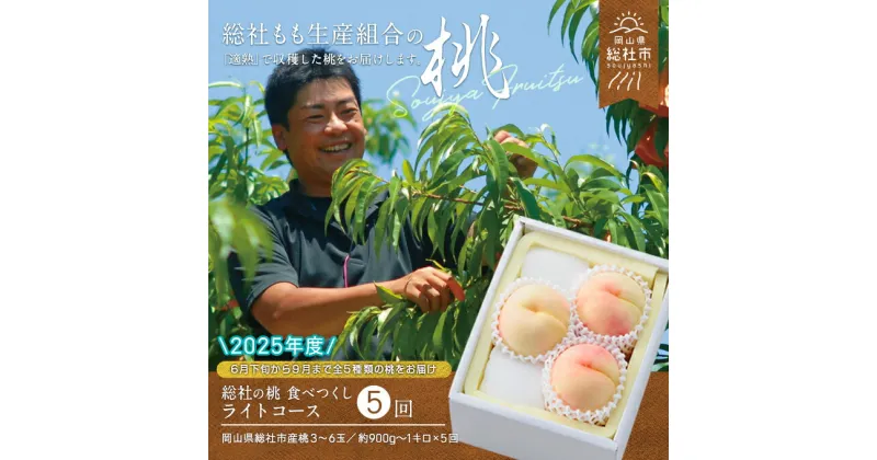 【ふるさと納税】【2025年産先行予約】もも 桃 岡山県 白桃 食べつくし ライトコース （約1kg×5回配送） 定期便 総社市産 岡山県総社もも生産組合 25-070-001