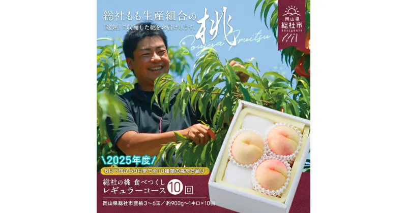 【ふるさと納税】【2025年産先行予約】もも 桃 岡山県 白桃 食べつくし レギュラーコース （約1kg×10回配送） 定期便 総社市産 岡山県総社もも生産組合 25-140-001