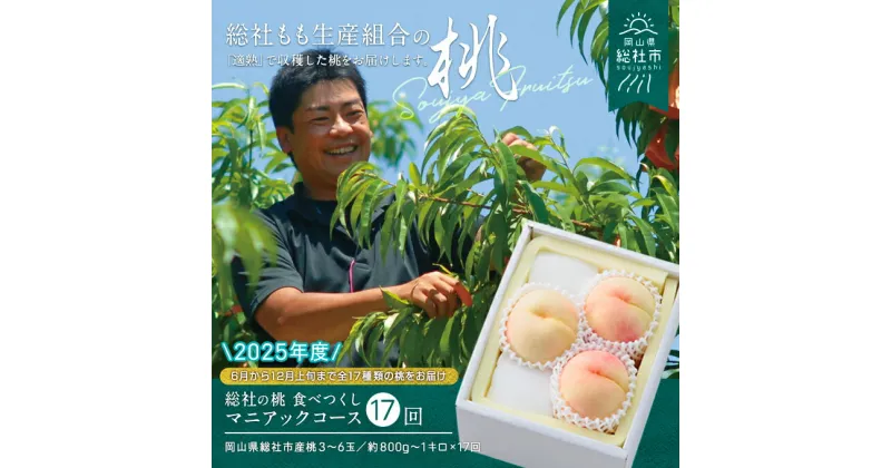 【ふるさと納税】【2025年産先行予約】もも 桃 岡山県 白桃 食べつくし マニアックコース （約1kg×17回配送） 定期便 総社市産 岡山県総社もも生産組合 25-238-001