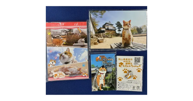 【ふるさと納税】さんじゅーろーグッズセット　 雑貨 文房具 小物 詰め合わせ ネコ 実写 猫城主 ポストカード メモ帳 A6 サイズ ピンバッヂ ラバー キーホルダー