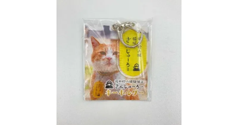 【ふるさと納税】『さんじゅーろー』キーホルダー小判　3個セット　 雑貨 小物 使いやすいサイズ カバン バッグ 鍵