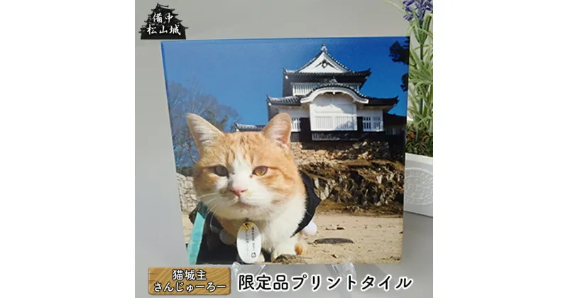 【ふるさと納税】備中松山城 猫城主 さんじゅーろープリントタイルA　 インテリア 置物 猫 猫好き 猫柄 机の上 玄関 テーブルの上 皿立て付き 癒し かわいい 動物 動物モチーフ