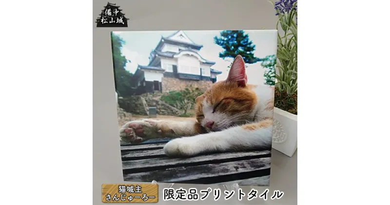 【ふるさと納税】備中松山城 猫城主 さんじゅーろープリントタイルB　 インテリア 置物 猫 猫好き 猫柄 机の上 玄関 テーブルの上 皿立て付き 癒し かわいい 動物 動物モチーフ