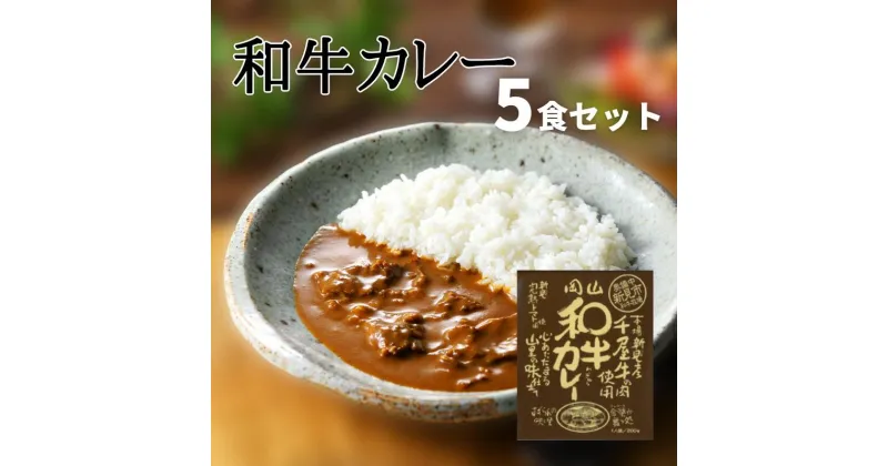 【ふるさと納税】レトルト カレー 和牛カレー レトルトカレー ビーフカレー 5食 セット 千屋牛 和牛 おすすめ 美味しい 人気 レトルト食品 レトルトパウチ A級食材 特産品 キャンプ アウトドア 一人暮らし 常温 贅沢 簡単 手軽 ギフト プレゼント お土産 贈り物