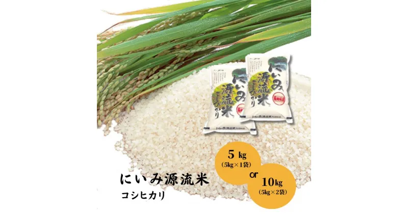 【ふるさと納税】 令和6年産 新米 コシヒカリ 容量を選択できる 米 10kg 5kg 1袋 2袋 にいみ源流米 米 精米 白米 こしひかり 小分け お弁当 おにぎり 美味しい おいしい 10キロ 5キロ おすすめ 人気