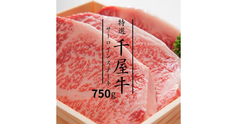 【ふるさと納税】牛肉 牛 和牛 黒毛和牛 千屋牛 焼肉 サーロインステーキ ステーキ 750g 特選 A5 ブランド牛 A級食材 ギフト プレゼント 贈り物 贈答 贈答用 お中元 お歳暮 母の日 父の日 内祝い グルメ 取り寄せ