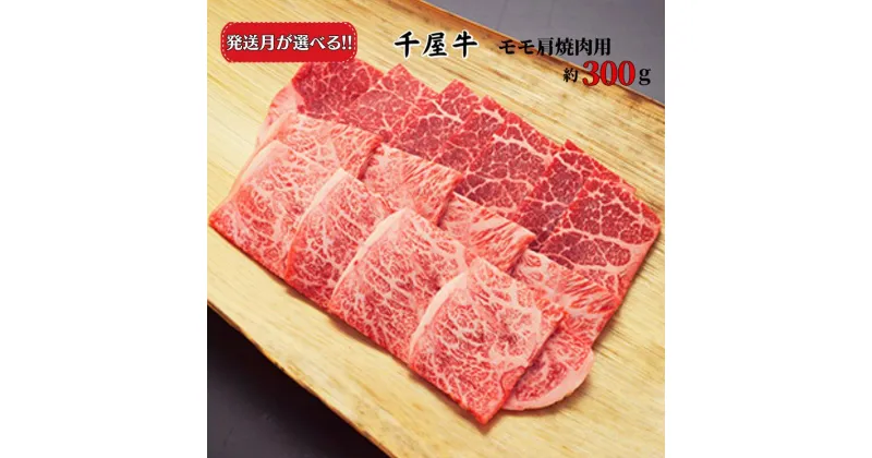 【ふるさと納税】発送月が選べる おすすめ 牛肉 焼肉 千屋牛 和牛 黒毛和牛 国産 A5 A級食材 ブランド牛 モモ肩 300g A5