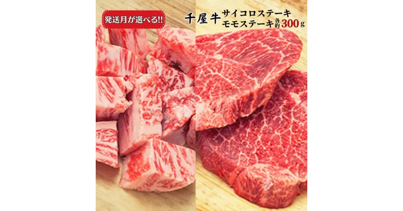 【ふるさと納税】発送月が選べる おすすめ 牛肉 千屋牛 和牛 黒毛和牛 国産 A5 A級食材 セット 600g 300g×2パック ブランド牛 サイコロステーキ モモ ステーキ セット