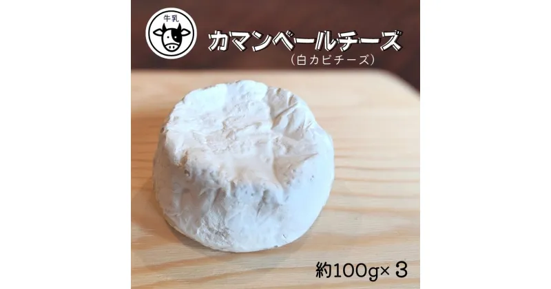 【ふるさと納税】【11月〜3月限定・牛乳】カマンベールチーズ 約100g×3パック