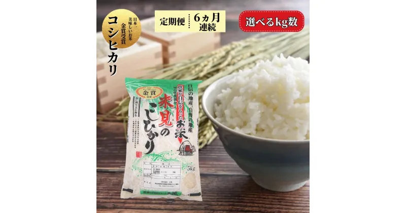 【ふるさと納税】 令和6年産 新米 定期便 選べる kg数 米 お米 白米 精米 コシヒカリ こしひかり 5kg 10kg 6ヶ月連続 30kg 60kg 米農家 農家直送 産地直送 岡山県産 取り寄せ おすすめ 人気 美味しい おにぎり おむすび 金賞米 減農薬