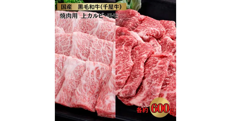 【ふるさと納税】千屋牛 上カルビ・モモ 焼肉セット (上カルビ約600g+モモ約600g)