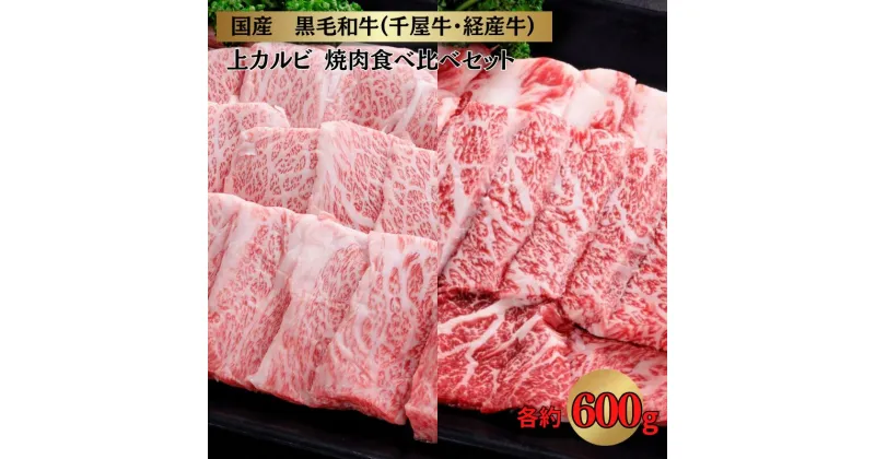 【ふるさと納税】千屋牛 いろり牛 経産牛 上カルビ 焼肉食べ比べセット (千屋牛約600g+いろり牛（経産牛）約600g)