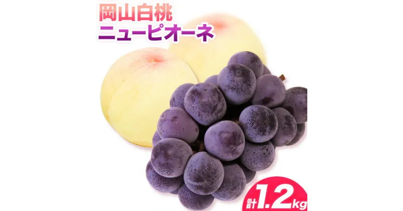 【ふるさと納税】【令和7年産 先行受付】白桃 ニューピオーネ 計1.2kg 桃 2玉 ぶどう 1房 《2025年7月上旬-8月上旬頃出荷予定》先行予約 岡山県産