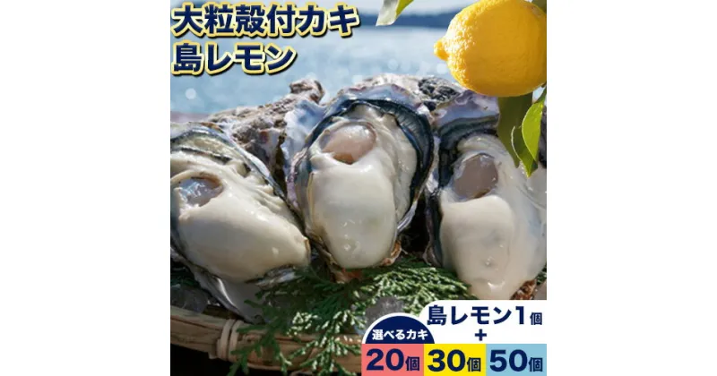 【ふるさと納税】【厳選！】日生頭島大粒殻付き牡蠣「島のしずく」 ( 加熱用・選べる 20個 30個 50個 ) と「島レモン」《2025年1月上旬‐4月上旬頃より出荷予定》岡山県 備前市 牡蠣 かき