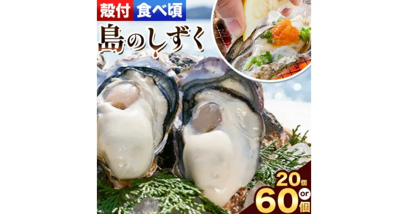 【ふるさと納税】【厳選！】日生頭島殻付牡蠣「島のしずく」（加熱用：食べ頃サイズ 20個 or 60個）《2025年1月上旬‐4月上旬頃より出荷予定》岡山県 備前市 牡蠣 かき