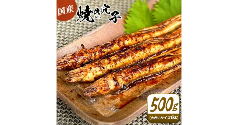 【ふるさと納税】穴子 焼穴子 たれ付き 約500g（国産・大きいサイズ約6本）備前海産有限会社《30日以内に出荷予定(土日祝除く》岡山県 備前市 あなご