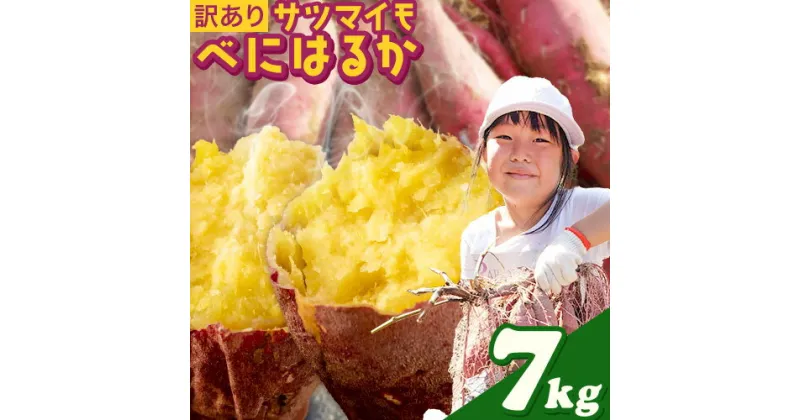 【ふるさと納税】訳あり さつまいも 紅はるか べにはるか 芋 農薬不使用 7kg サイズ無選別 傷あり こだまり農園《12月上旬-2月末頃出荷(土日祝除く)》岡山県 備前市 送料無料 国産 サツマイモ わけあり 野菜 お取り寄せ