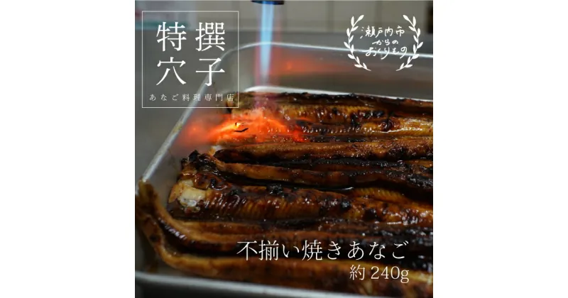 【ふるさと納税】 焼き あなご 240g [ 不揃い小ぶりサイズ ]　魚貝類 穴子