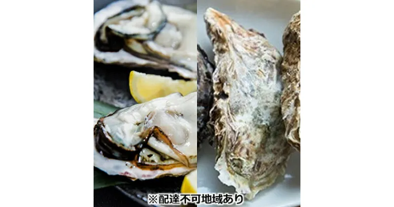 【ふるさと納税】牡蠣 2025年先行予約 モリ旬 牡蠣 むき身 約500g 殻付き約8個 岡山県 瀬戸内市 虫明産　魚介類 カキ 牡蠣 シーフード かき　お届け：2025年1月中旬～2025年3月下旬