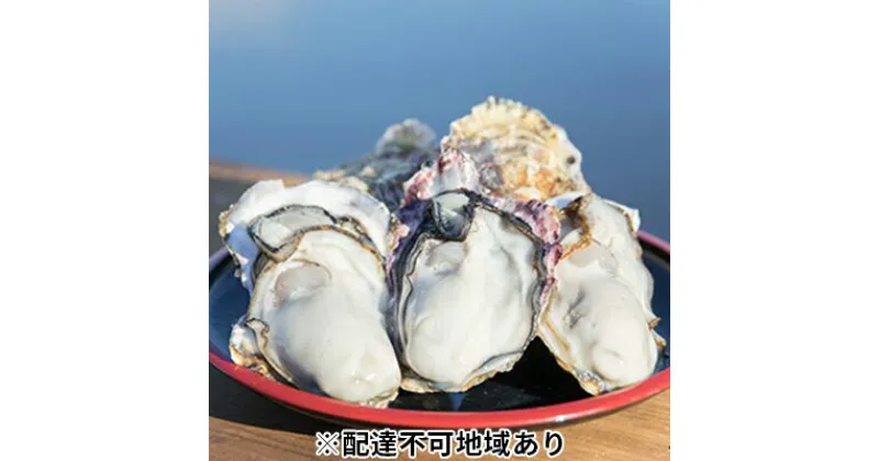 【ふるさと納税】牡蠣 2025年先行予約 モリ旬 牡蠣 殻付き 約3kg 岡山県 瀬戸内市 虫明産　魚貝類 生牡蠣 かき 魚介類 カキ 牡蠣 3kg　お届け：2025年1月中旬～2025年3月下旬