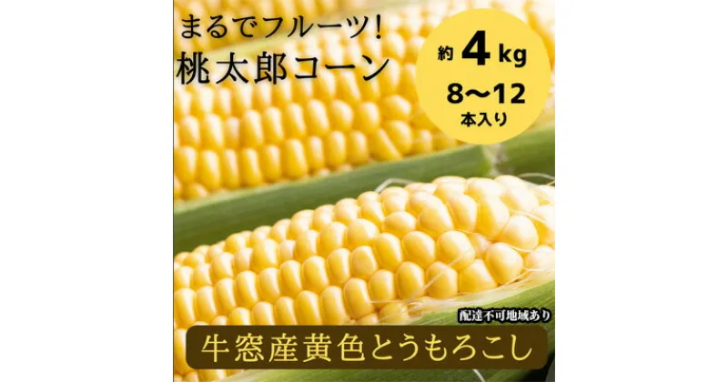 【ふるさと納税】［2025年先行予約］ まるでフルーツ！最高糖度25度超え 生で甘い、茹でて美味い！牛窓産 黄色 とうもろこし 「桃太郎コーン」約4kg（8～12本入り）　 野菜 　お届け：2025年6月下旬～2025年9月下旬