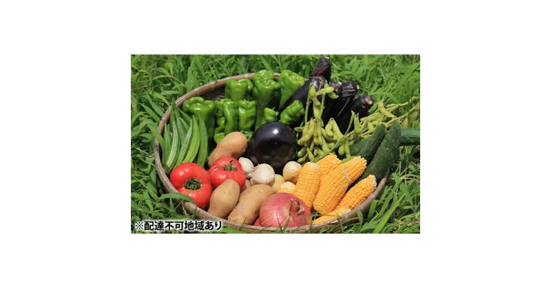 【ふるさと納税】甘味に自信あり！彩り 野菜 BOX（7種類）【配達不可：北海道・沖縄・離島】　野菜 セット 詰合せ