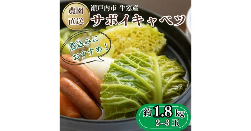 【ふるさと納税】 瀬戸内 牛窓産 サボイ キャベツ 約1.8kg（2～3玉）　野菜 サボイキャベツ キャベツ 2～3kg前後　お届け：2025年1月中旬～2025年2月末