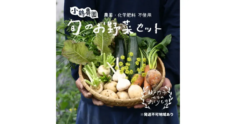 【ふるさと納税】小鶴農園 季節のお野菜7～9品目セット（農薬・化学肥料不使用）【配達不可：北海道・沖縄・離島】　野菜 セット 詰合せ 季節のお野菜 化学肥料不使用