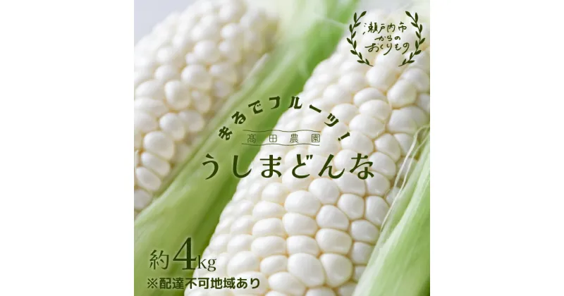 【ふるさと納税】 ［2025年先行予約］ まるでフルーツ！ 生で甘い、茹でて美味い！牛窓産 白色 とうもろこし 「うしまどんな」約4kg（8～12本入り）　 野菜 ホワイトコーン 夏野菜 おやつ 間食 お弁当 バーベキュー BBQ 産地直送 　お届け：2025年6月下旬～2025年8月下旬