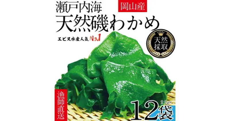 【ふるさと納税】風味豊かな 瀬戸内 わかめ 22g×12袋 エビス水産【岡山 瀬戸内海 天然 カットわかめ】　 常備菜 無添加 無着色 味噌汁 炊き込み