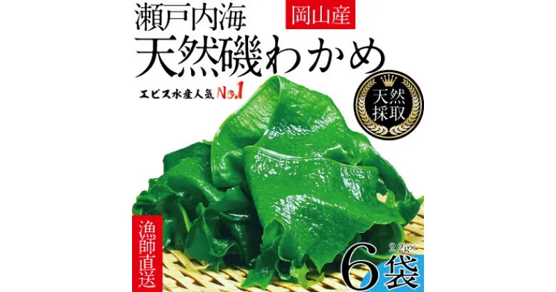 【ふるさと納税】風味豊かな 瀬戸内 わかめ 22g×6袋 エビス水産【岡山 瀬戸内海 天然 カットわかめ】　 常備菜 無添加 無着色 味噌汁 炊き込み