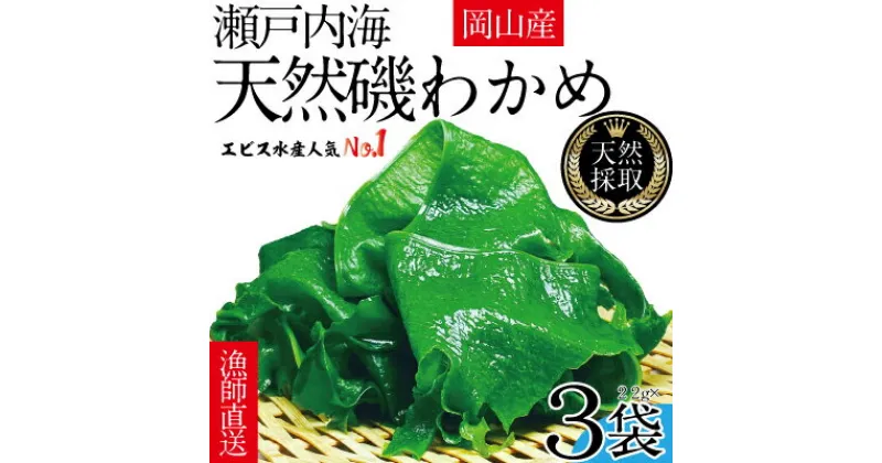 【ふるさと納税】風味豊かな 瀬戸内 わかめ 22g×3袋 エビス水産【岡山 瀬戸内海 天然 カットわかめ】　 常備菜 無添加 無着色 味噌汁 炊き込み