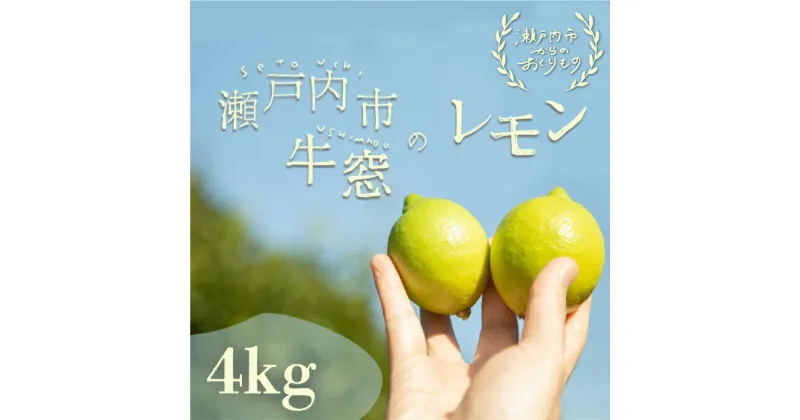 【ふるさと納税】瀬戸内 牛窓産 レモン 約4kg（1果 100g前後）　 果物 柑橘 果実 国産 爽やか ワックス 防腐剤 不使用 料理 ジュース 酎ハイ 焼酎 飲み物 果汁 ドレッシング ソース 　お届け：2024年11月上旬～2025年1月下旬