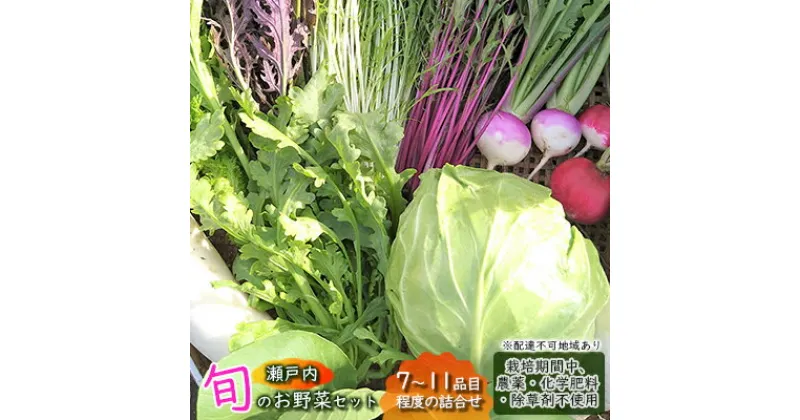 【ふるさと納税】 瀬戸内「旬」のお野菜セット 7～11品目程度の詰合せ 野菜 農薬 化学肥料 除草剤不使用 岡山 M’s farm　 野菜の詰め合わせ 味が濃い 新鮮 旬 旬の野菜 　お届け：2024年4月下旬～2025年1月下旬