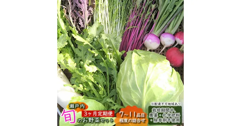 【ふるさと納税】 3ヶ月 定期便 瀬戸内「旬」のお野菜セット 7～11品目程度の詰合せ 野菜 農薬 化学肥料 除草剤不使用 岡山 M’s farm　定期便・ 野菜の詰め合わせ 味が濃い 新鮮 旬 旬の野菜 　お届け：2024年4月下旬～2025年1月下旬