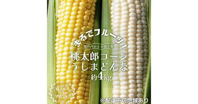 【ふるさと納税】［2025年先行予約］まるでフルーツ！生で甘い、茹でて美味い！牛窓産 とうもろこし「桃太郎コーン」と「うしまどんな」のセット 約4kg 8～12本入り　 産地直送 食べ比べ 　お届け：2025年6月下旬～2025年8月下旬