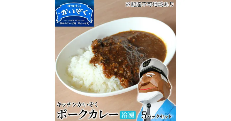 【ふるさと納税】冷凍 ポーク カレー 5パック セット キッチンかいぞく 岡山 B級グルメ　 加工品 惣菜 伝統的 ソウルフード あっさり コク 電子レンジ 簡単 便利