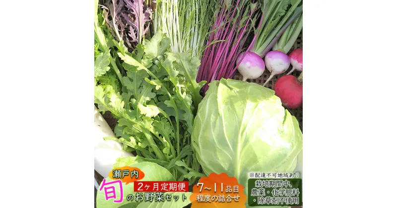 【ふるさと納税】2ヶ月 定期便 瀬戸内「旬」のお野菜セット 7～11品目程度の詰合せ 野菜 農薬 化学肥料 除草剤不使用 岡山 M’s farm　定期便・ 詰め合わせ セット オーガニック 有機 瀬戸内市 　お届け：2024年4月下旬～2025年1月下旬