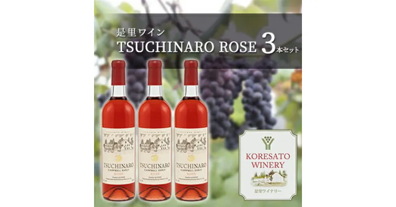 【ふるさと納税】是里 ワイン TSUCHINARO ROSE 3本 セット ワイン ぶどう 葡萄 お酒 果実酒 洋酒 岡山 赤磐市　ワイン お酒 果実酒 洋酒