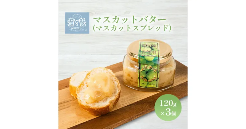 【ふるさと納税】マスカット バター （ マスカット スプレッド ）120g×3個 乳製品 果物 ぶどう フルーツ　バター 果物類 ぶどう マスカット フルーツ マスカットバター