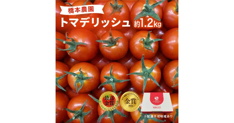 【ふるさと納税】 フルーツ トマト ［2025年先行予約］ トマデリッシュ 約1.2kg 橋本農園 岡山　 野菜 高糖度 旨味 弾力 果実 甘い 旨味 サラダ そのまま 岡山県産 緑黄色野菜 　お届け：2025年3月中旬～2025年6月上旬