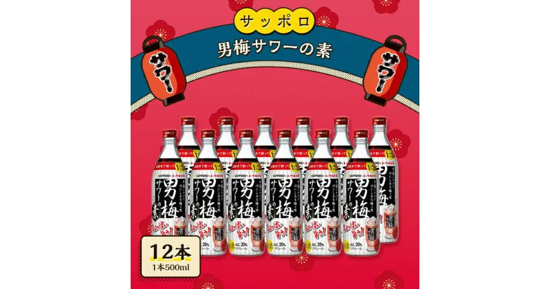 【ふるさと納税】サッポロ 男梅サワー の素 12本（1本500ml） 男梅 サワー 梅味 お酒 原液　 お酒 梅味 家飲み 宅飲み 晩酌 割りもの しょっぱい旨さ 濃厚な味わい 原液