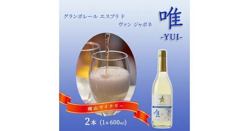 【ふるさと納税】ワイン グランポレール エスプリ ド ヴァン ジャポネ 唯-YUI- 2本（1本 600ml）スパークリングワイン 中辛口 サッポロビール 岡山ワイナリー　 お酒 爽やかな酸味 やや辛口 飲みやすい 微発泡