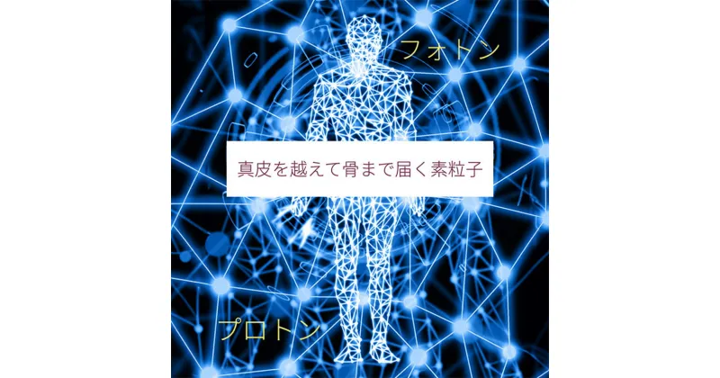 【ふるさと納税】究極の美肌エステ 利用券 体験 美容　赤磐市