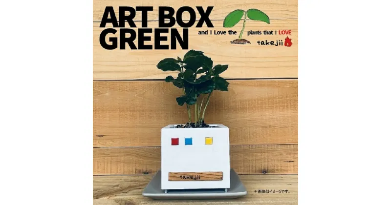 【ふるさと納税】インテリア ART BOX GREEN / 002(□） アートボックス 観葉植物 多肉植物 岡山 赤磐市 takejii craft