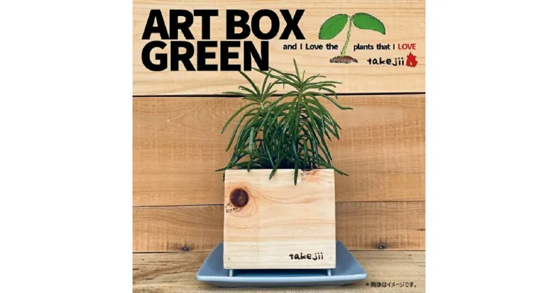 【ふるさと納税】インテリア ART BOX GREEN / 003(木目） アートボックス 観葉植物 多肉植物 岡山 赤磐市 takejii craft