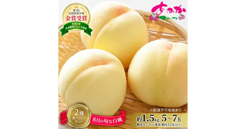 【ふるさと納税】桃 2025年 先行予約 8月の旬な白桃【2種】 食べ比べ セット 約1.5kg 5～7玉 糖度センサー選果 糖度12度以上 あみかフルーツ 白桃 岡山　お届け：2025年8月上旬～2025年8月下旬