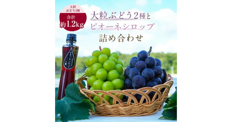 【ふるさと納税】大粒ぶどう2種(計約1.2kg)とピオーネシロップ詰め合わせ　ピオーネ　シャインマスカット　岡山県産【1144581】