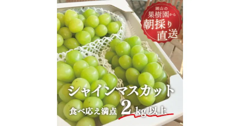 【ふるさと納税】岡山県産 きよとう自慢のシャインマスカット 3-5房入/計2.0kg～【配送不可地域：離島】【1299578】