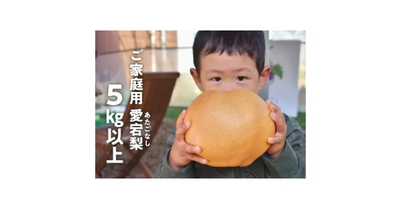 【ふるさと納税】岡山県産 きよとう自慢の愛宕梨 ご家庭用 約5kg【1375020】